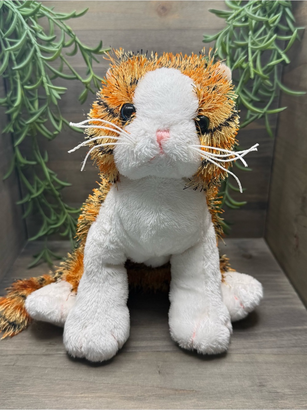 4/$50 Webkinz Alley Cat